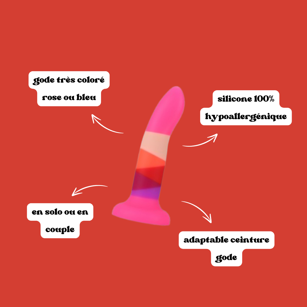 Gode ventouse 6 couleurs