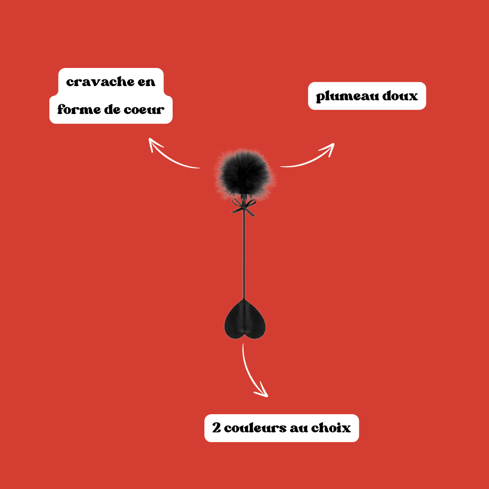 Cravache coeur avec plumeau