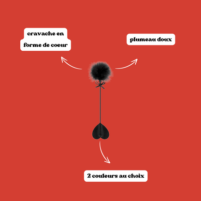 Cravache coeur avec plumeau